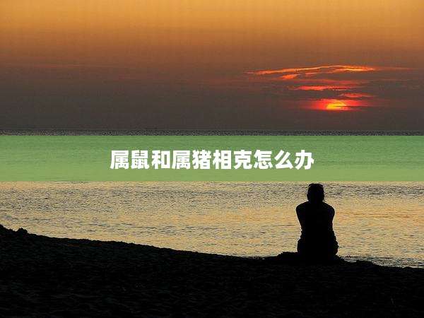 属鼠和属猪相克怎么办
