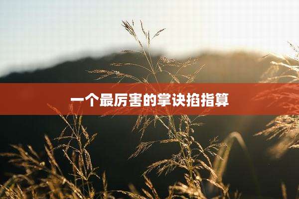 一个最厉害的掌诀掐指算