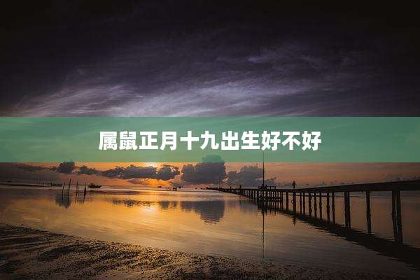 属鼠正月十九出生好不好