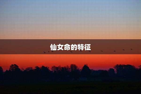 仙女命的特征