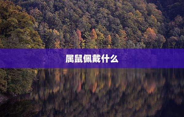 属鼠佩戴什么