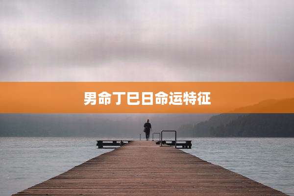 男命丁巳日命运特征