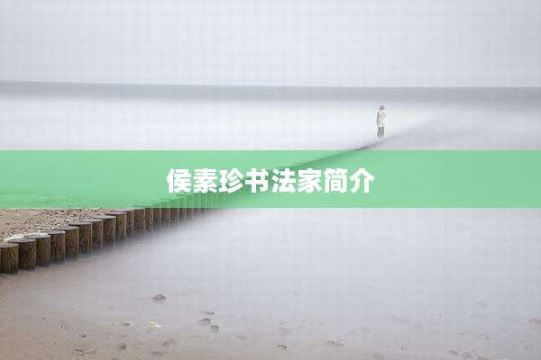 侯素珍书法家简介