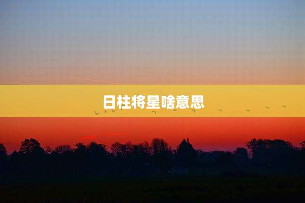 日柱将星啥意思