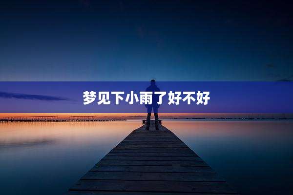 梦见下小雨了好不好