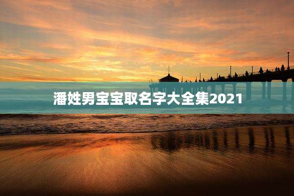 潘姓男宝宝取名字大全集2021