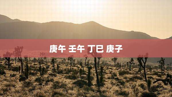 庚午 壬午 丁巳 庚子