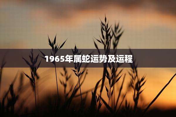 1965年属蛇运势及运程
