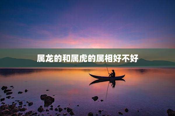 属龙的和属虎的属相好不好