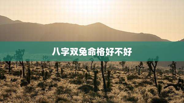 八字双兔命格好不好