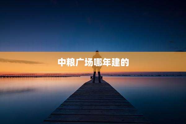 中粮广场哪年建的