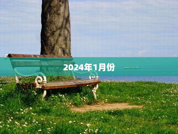 2024年1月份