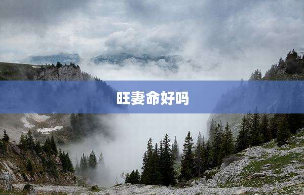 旺妻命好吗