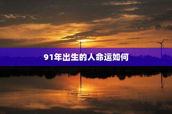 91年出生的人命运如何