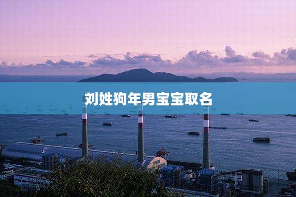 刘姓狗年男宝宝取名