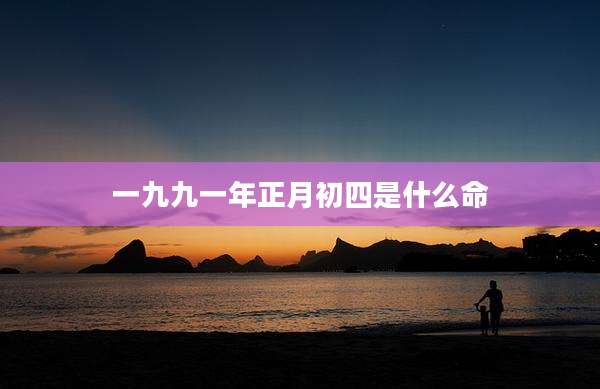 一九九一年正月初四是什么命