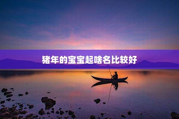猪年的宝宝起啥名比较好