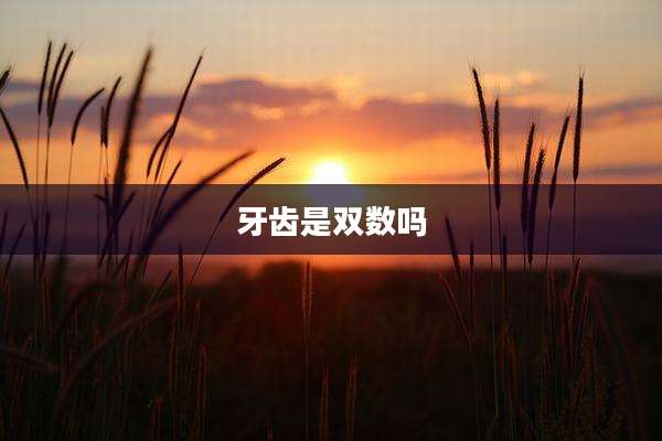 牙齿是双数吗