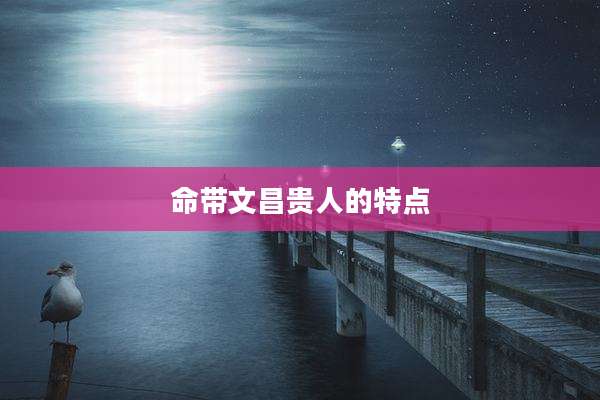 命带文昌贵人的特点