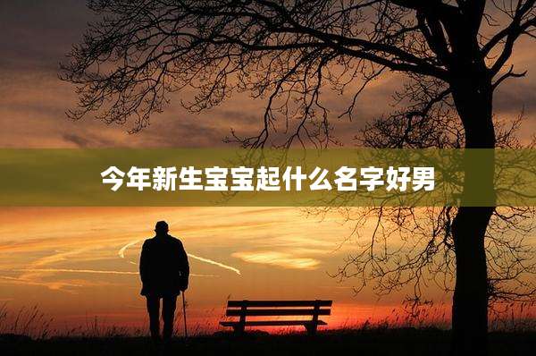 今年新生宝宝起什么名字好男