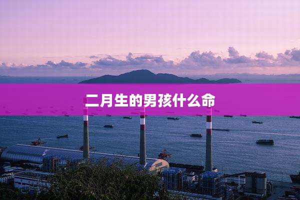 二月生的男孩什么命