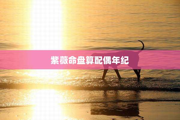 紫薇命盘算配偶年纪