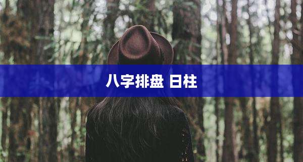 八字排盘 日柱