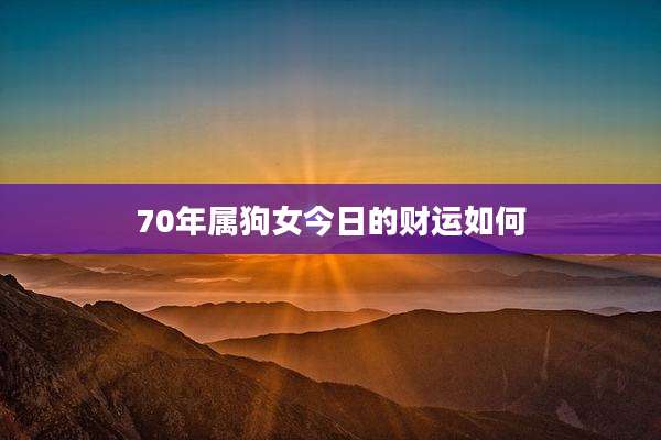 70年属狗女今日的财运如何