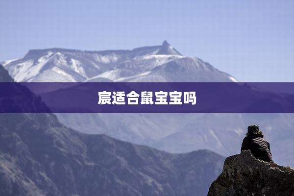 宸适合鼠宝宝吗