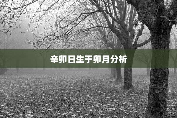 辛卯日生于卯月分析