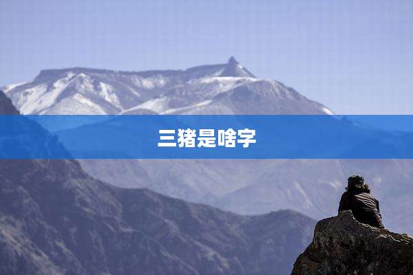三猪是啥字
