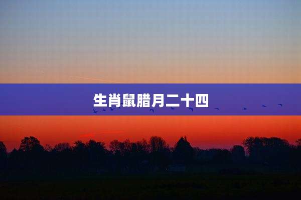 生肖鼠腊月二十四