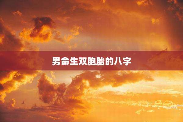 男命生双胞胎的八字