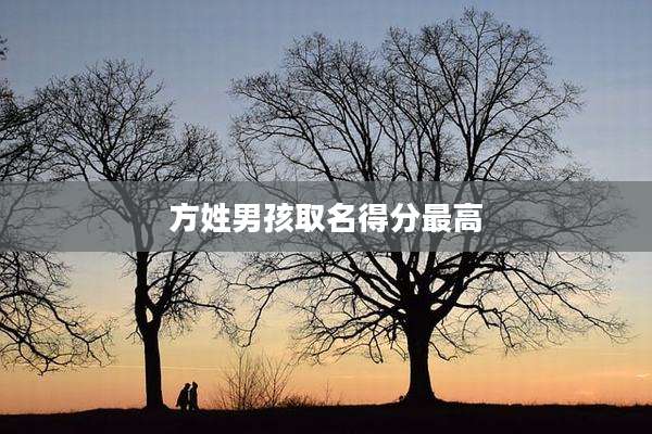 方姓男孩取名得分最高