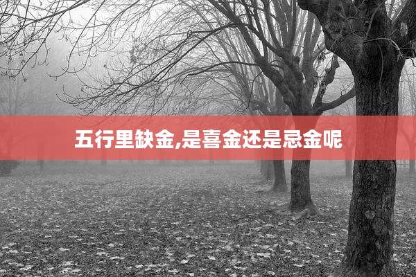 五行里缺金,是喜金还是忌金呢