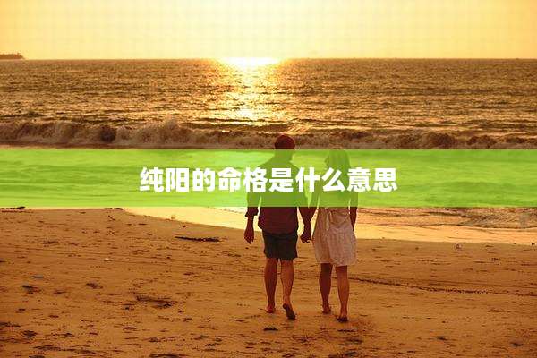 纯阳的命格是什么意思