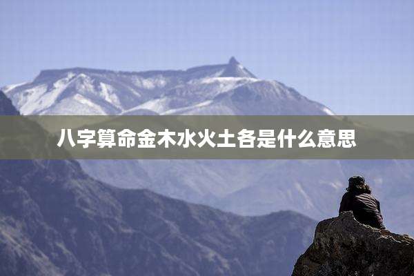 八字算命金木水火土各是什么意思