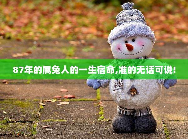87年的属兔人的一生宿命,准的无话可说!
