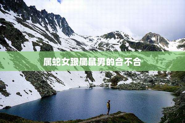 属蛇女跟属鼠男的合不合