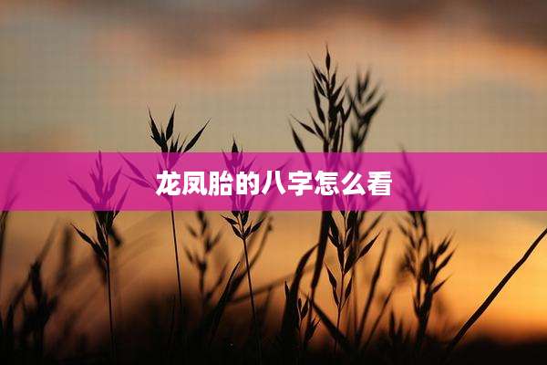 龙凤胎的八字怎么看