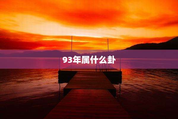 93年属什么卦