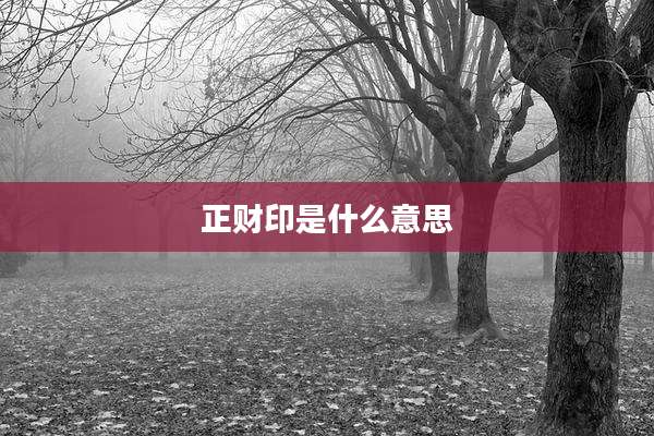 正财印是什么意思