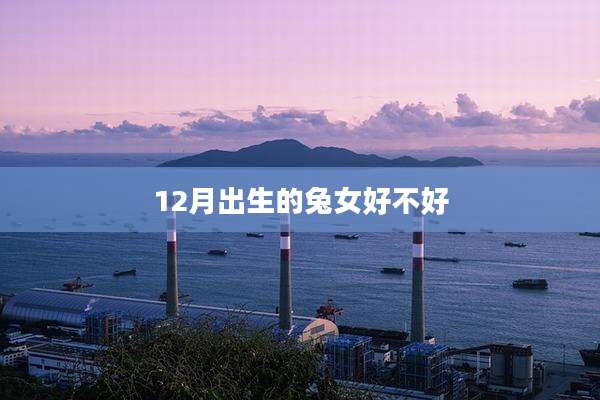 12月出生的兔女好不好