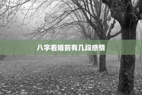 八字看婚前有几段感情