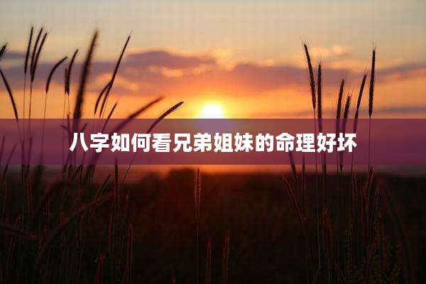 八字如何看兄弟姐妹的命理好坏