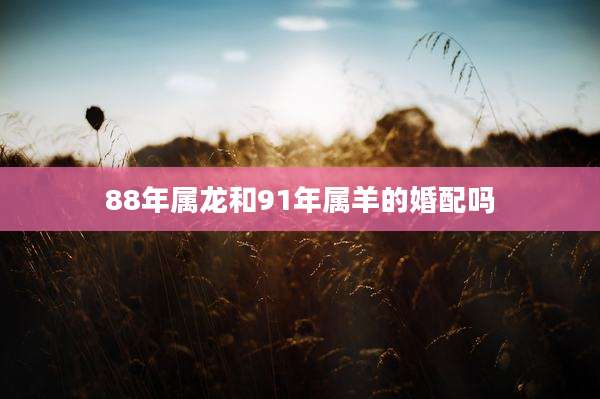 88年属龙和91年属羊的婚配吗
