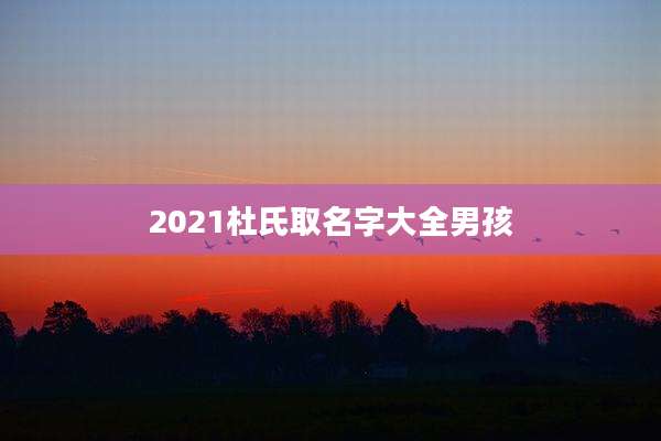 2021杜氏取名字大全男孩