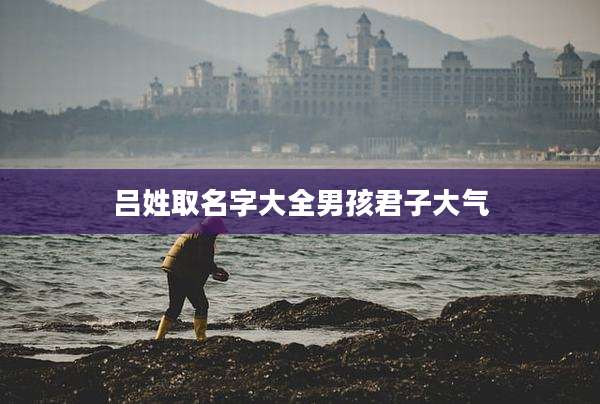 吕姓取名字大全男孩君子大气