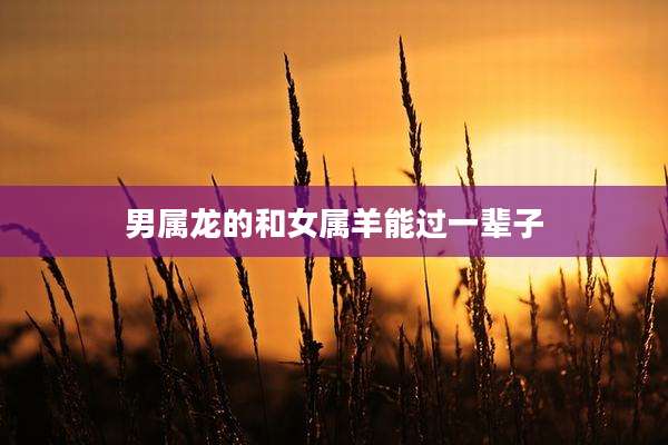 男属龙的和女属羊能过一辈子