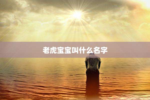 老虎宝宝叫什么名字